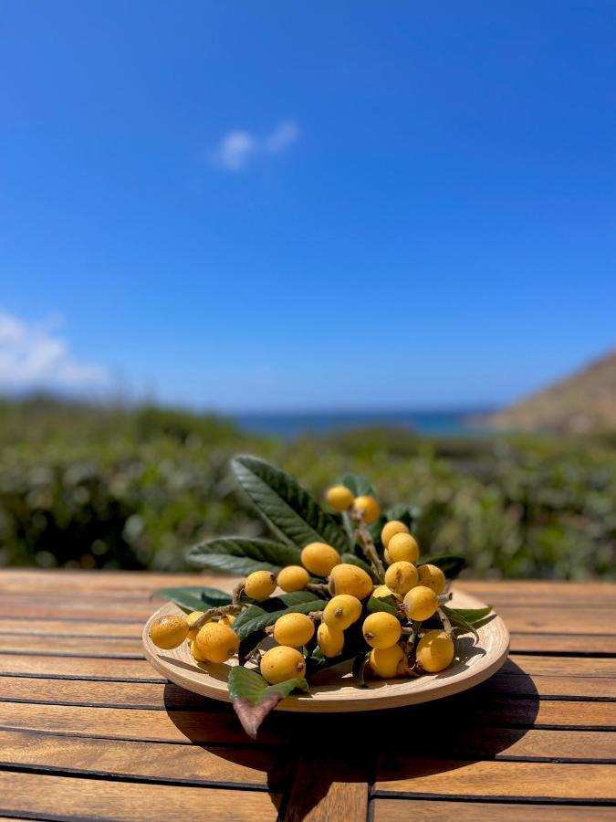 Seaside Studios Arkasa Karpathos المظهر الخارجي الصورة