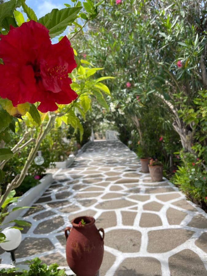 Seaside Studios Arkasa Karpathos المظهر الخارجي الصورة